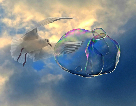 Copy Of Ins Inv Image (2)