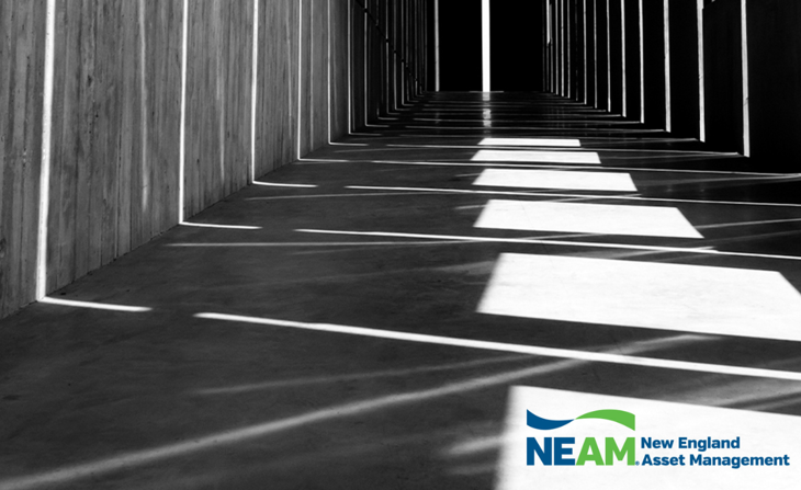 NEAM Sponcon Image