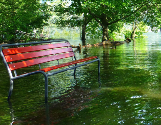 Copy Of New II Orange #EC652F 1200 (84)