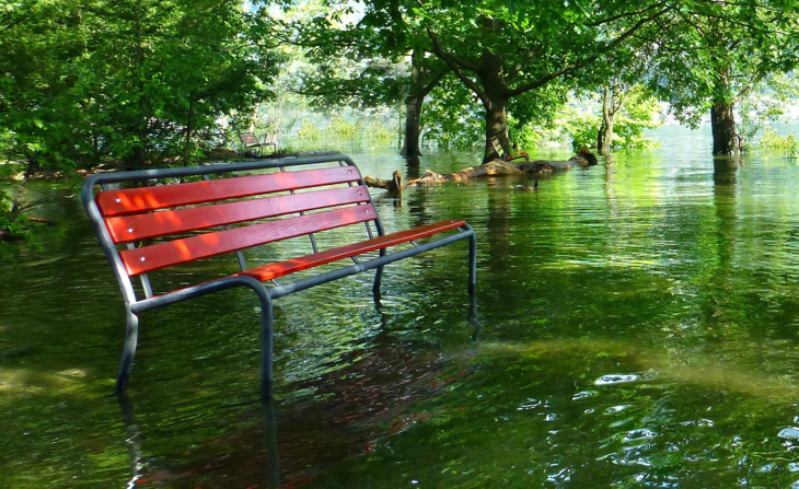 Copy Of New II Orange #EC652F 1200 (84)