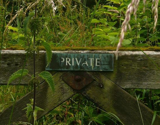 Copy Of New II Orange #EC652F 1200 (51)