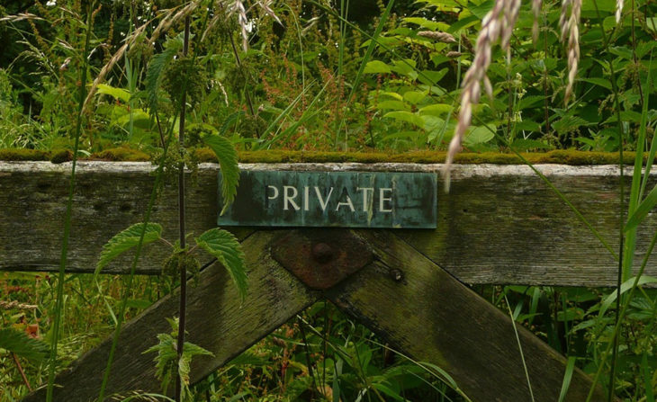 Copy Of New II Orange #EC652F 1200 (51)